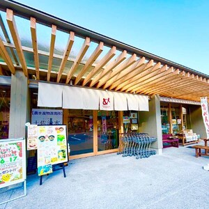 焦がしバスクチーズケーキ 5号(直径15cm) チーズケーキ 洋菓子 焼き菓子 ケーキ クリームチーズ 生クリーム スイーツ デザート 濃厚 なめらか 絶品 お取り寄せ 真っ黒焦げ【R01214】