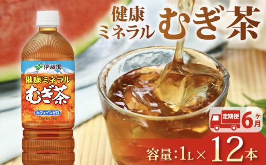 【定期便6か月】健康ミネラル むぎ茶 1L × 12本 6回 お届け お茶 ペットボトル 飲料 ペットボトル飲料 おちゃ 麦茶飲料 お茶飲料  ちゃ 飲み物 茶 アウトドア 日常 常備 備蓄 防災 防災備蓄 防災用品 災害 生活必需品 消耗品 非常用 災害対策 保存 保管 ストック 日用品 水分補給 箱 箱買い まとめ買い おすすめ 静岡茶 飲料水 美味しい お～いお茶 伊藤園 牧之原市 静岡県