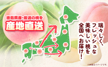 モモ もも 2kg ヤマト農園 【配送不可地域あり】 桃