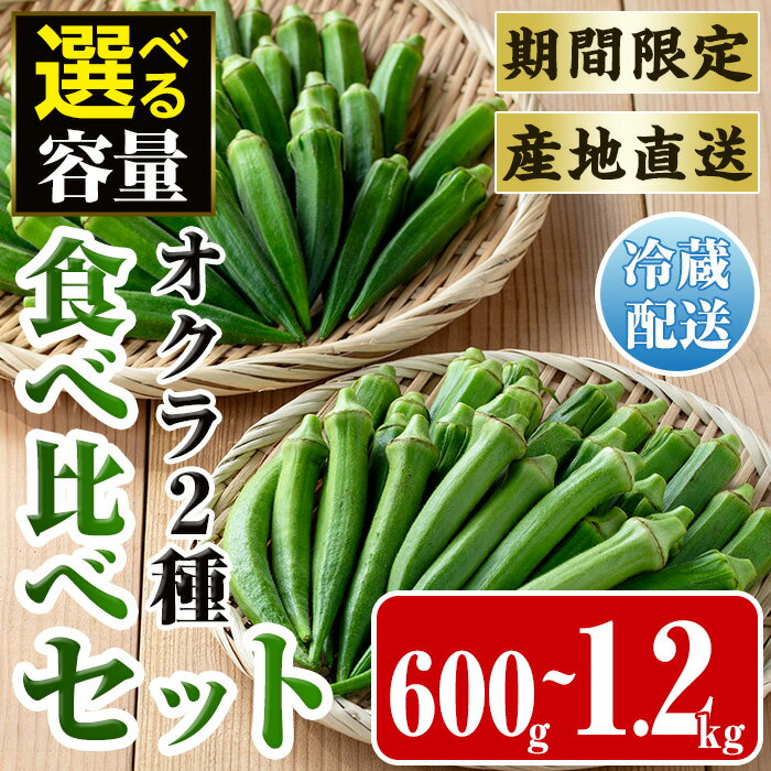 【ふるさと納税】≪容量が選べる！先行予約受付中！2026年7月下旬～10月下旬の間に発送予定≫いずみ産 丸オクラ・ジュピター食べ比べセット(600g or 1.2kg) オクラ おくら 野菜 夏野菜 サラダ おひたし 天ぷら 炒め物 新品種 丸オクラ 食べ比べ 【イーサイドライン】
