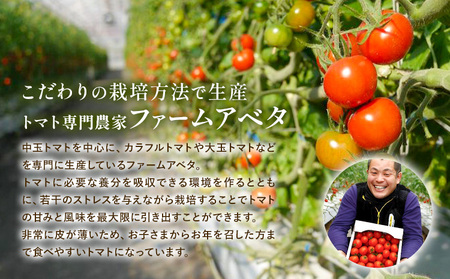 中玉フルーツトマト ゼッピン娘 1.8kg ×1箱 《 10月中旬～5月末頃出荷》茨城県結城市トマト野菜 甘い野菜サラダ