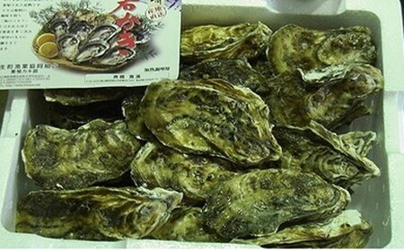 ★先行受付開始！★【2026年発送分】産地直送！岡山県日生産　殻付き牡蠣30個前後（3kg）（2026年1月中旬以降発送）【 全国牡蠣-1グランプリ豊洲2024 加熱部門初代グランプリ受賞！ 牡蠣 3