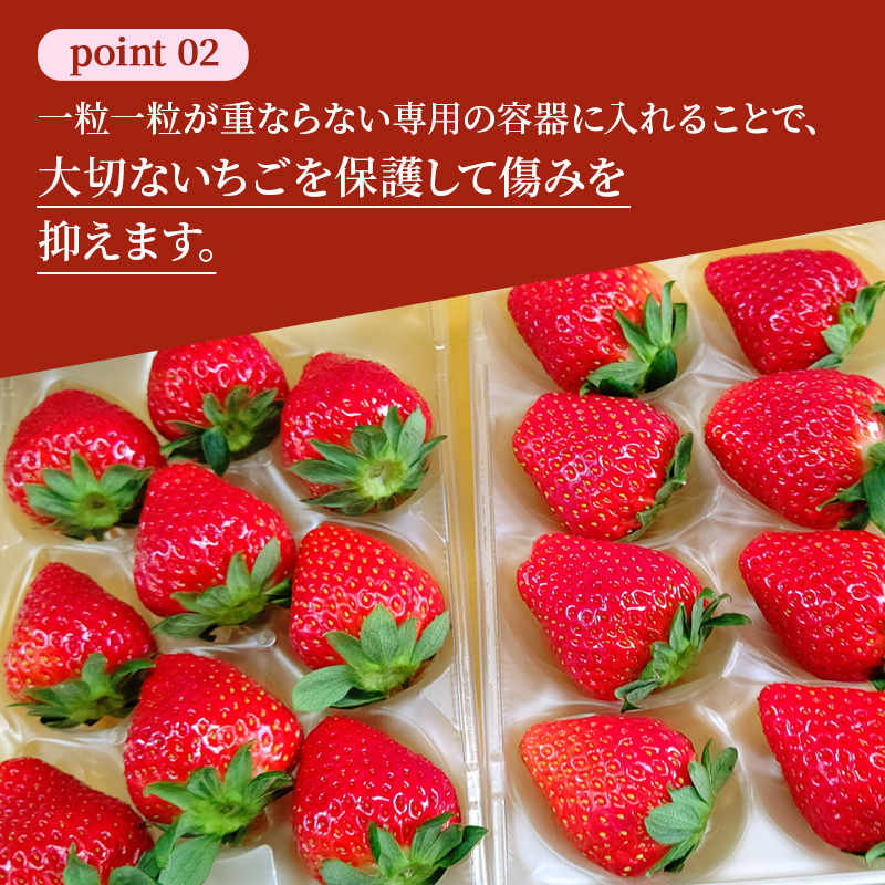 佃農園のこだわり完熟 奈乃華 【いちご】4パック