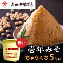 【ふるさと納税】壱年みそ　ちゅうくち5キロ　【 米こうじ 手造り 壱年味噌 伝統食品 豆造 甘酒 塩こうじ 丸大豆 国産 米 発酵 完熟 】