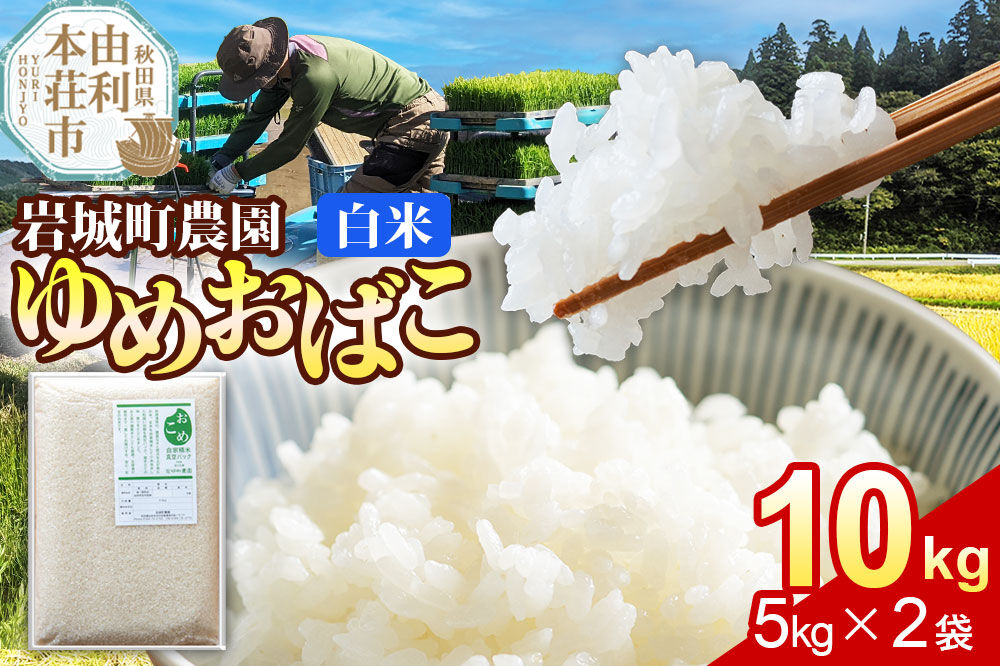 【白米】ゆめおばこ 秋田県産 岩城町農園のゆめおばこ 10kg（5kg×2袋）令和7年産 真空パック [ゆめおばこ 米 お米 こめ 白米 精米 食卓 ご飯 ごはん おにぎり 秋田県 由利本荘市]