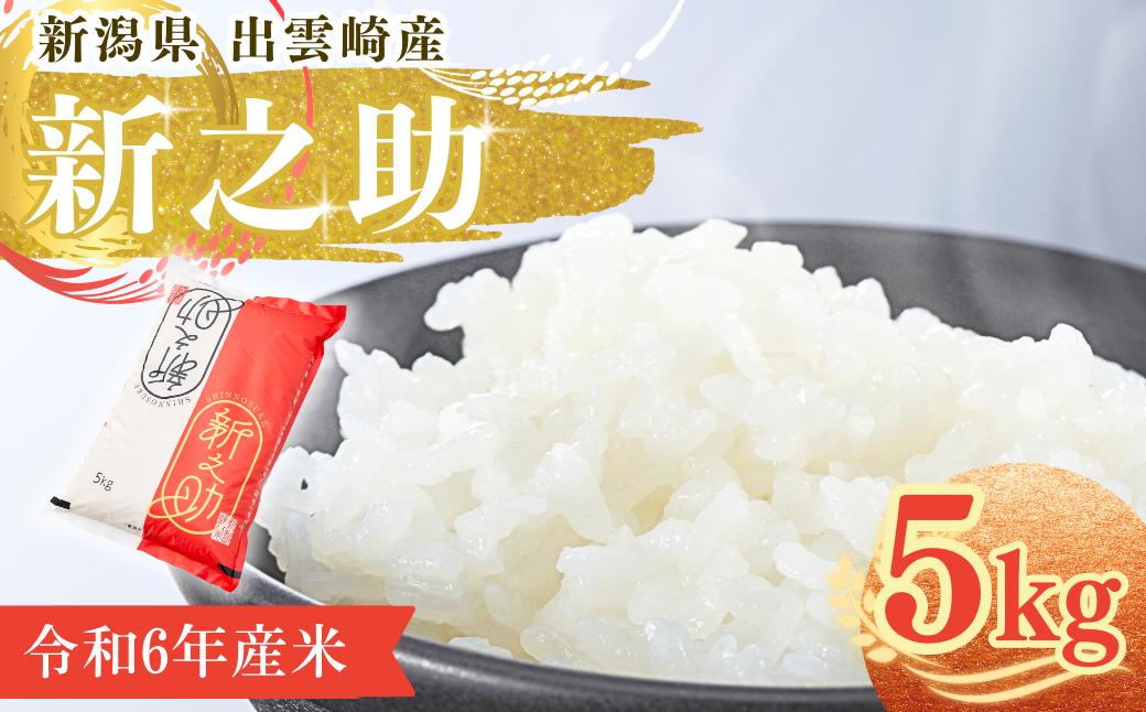 
            【1ヶ月以内発送・数量限定】令和6年産「新之助」5㎏ 新潟県産 出雲崎町産 白米 精米 お米 
          