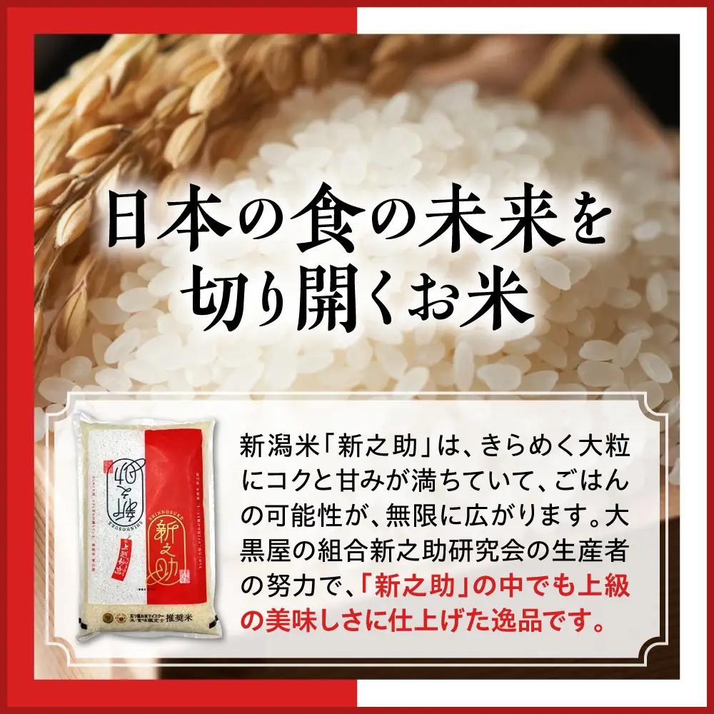 【2027年1月中旬発送】令和8年産 新潟県上越妙高産 新之助 10kg