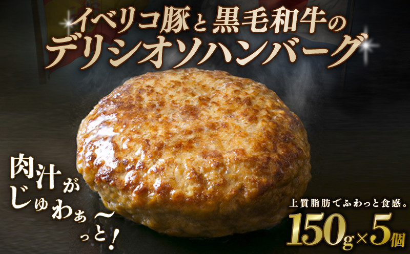 
            デリシオソ ハンバーグ 150g×5個 イベリコ豚 黒毛和牛 豚肉 豚 ぶた ブタ 牛肉 和牛 牛 肉 お肉 おにく 霜降り 手作り 簡単調理 冷凍 小分け 個包装 お弁当 おかず 夕ご飯 家庭 家庭用 惣菜 お惣菜 料理 調理 人気 おすすめ ふるさと納税 京都 八幡 八幡市 神戸屋商事 肉匠 こしき庵
          