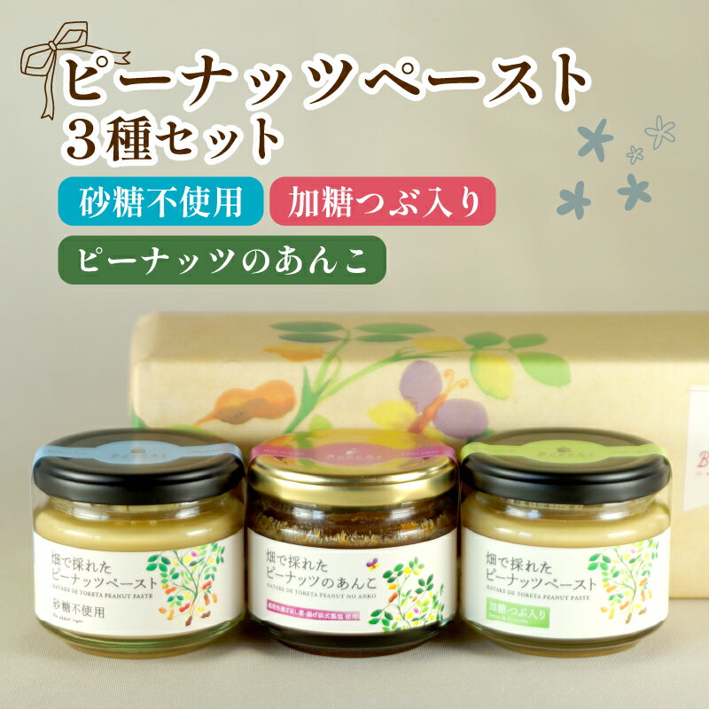 【ふるさと納税】 ピーナッツペースト 3本セット ピーナッツ バター 千葉県産 落花生 濃厚 ピーナッツペースト 千葉県産落花生 ぴーなっつ 無添加 ピーナッツクリーム ジャム ナッツ あんこ ピーナッツあんこ 記念日 お祝い 送料無料 株式会社セガワ メディア 千葉県 旭市