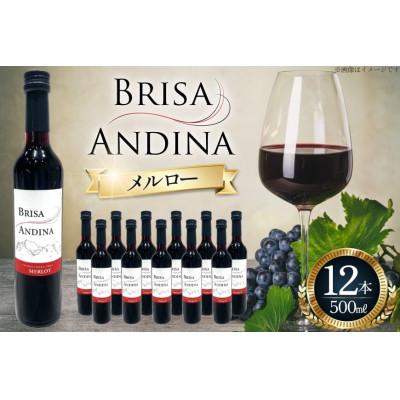 ふるさと納税 韮崎市 ワイン 赤 ブリサ・アンディーナ メルロー 　500ml 12本セット