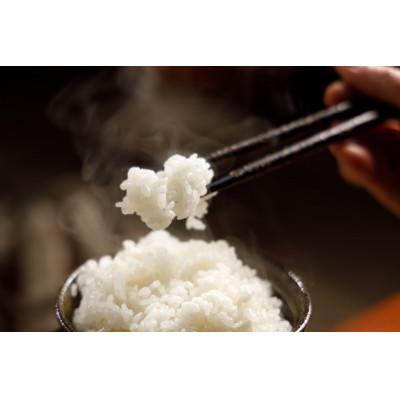 ふるさと納税 十日町市 【特別栽培米】頂米　金兵衛　魚沼産従来コシヒカリ(精米) 2kg |  | 02