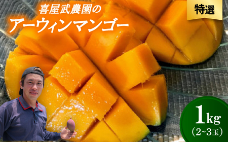 【先行受付・2026年6月から順次発送・特選】喜屋武農園のアーウィンマンゴー1kg(2～3玉)【配送不可地域：離島】【1694605】