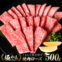 【ふるさと納税】 極和王シリーズくまもと黒毛和牛 焼肉ロース 500g A4-A5 ランク ロース 焼肉 焼き肉 国産牛 和王 黒毛和牛 和牛 牛 牛肉 お肉 肉 国産 熊本県産 冷凍 送料無料