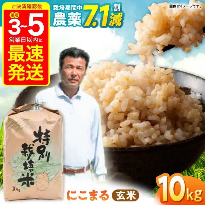 【R7年産】九州のこだわり「にこまる」 玄米 10kg / 米 こめ お米 おこめ げんまい にこまる 長崎県産 / 諫早市 / 上島農産 [AHAS002]
