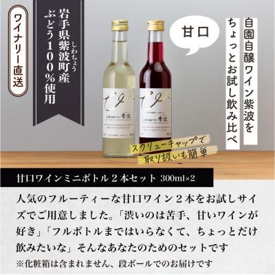 ふるさと納税 紫波町 【自園自醸ワイン紫波】甘口ワインミニボトル2本セット |  | 02
