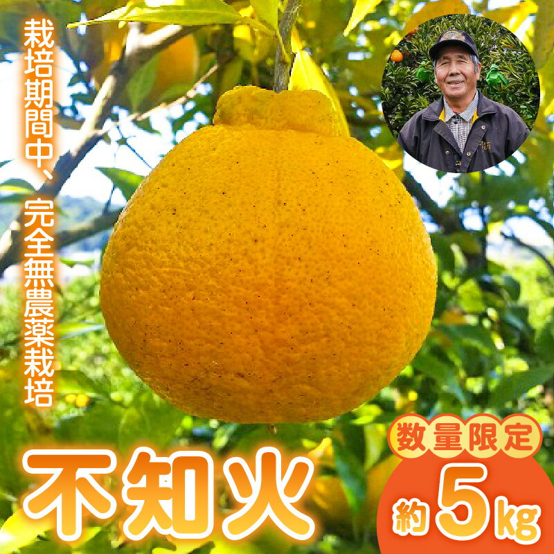 【ふるさと納税】【先行予約】数量限定 中嶋果樹園 栽培期間中 完全 無農薬 MOA自然農法 柑橘 みかん 不知火 しらぬい 植物性資材のみを使用 約 5kg 安心 安全 お取り寄せ 熊本県 宇土市 送料無料