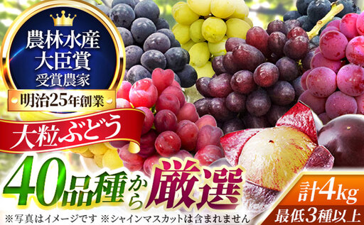 大粒品種詰め合わせ(シャインマスカット含まず)4.0サイズ