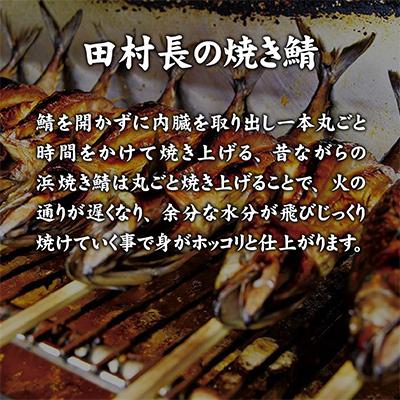 ふるさと納税 小浜市 田村長の焼き鯖セット　2本 |  | 01