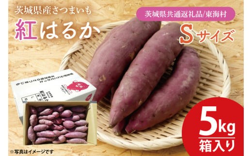 【数量限定】紅はるかSサイズ5kg箱【茨城県共通返礼品/東海村】新さつまいも 新芋 さつまいも サツマイモ 芋 いも 焼き芋 やきいも 紅はるか べにはるか おやつ ヘルシー 食物繊維 腸活 高評価 産地直送 水戸市 茨城県（KE-15）