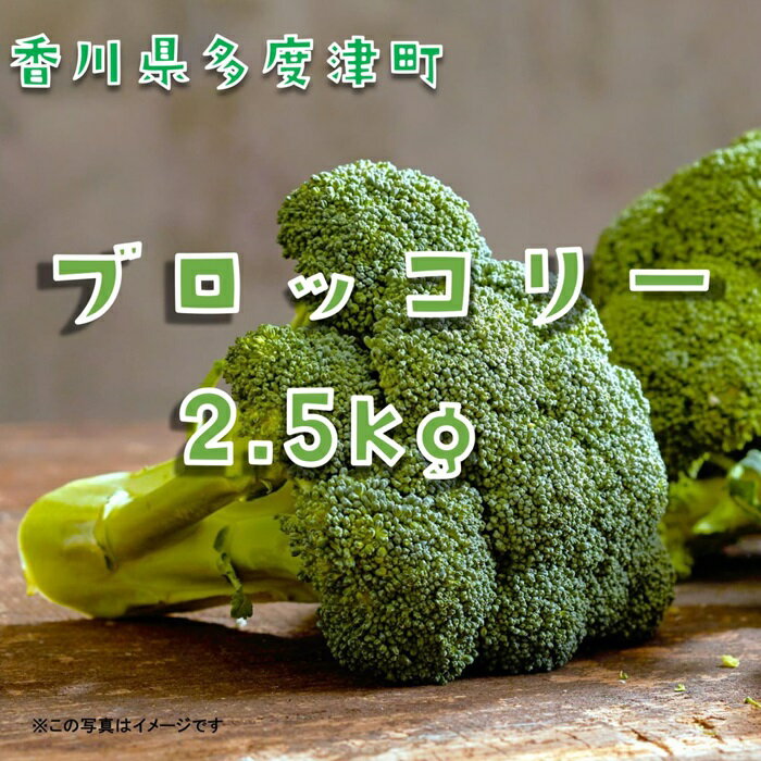 【ふるさと納税】ブロッコリー約2.5kg　サイズおまかせ〔提供：ことひら街道〕ブロッコリースプラウト スティックセニョール