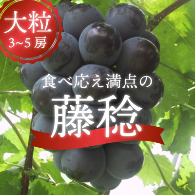 【きよとうファーム】自慢のボッケーネ(藤稔)大粒で食べ応え満点 3-5房/計2.0kg～(岡山県産)【配送不可地域：離島】