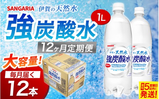 
                  【12ヶ月定期便】サンガリア　伊賀の天然水　強炭酸水　1ケース（1L×12本）【igge-tkb0012】
                