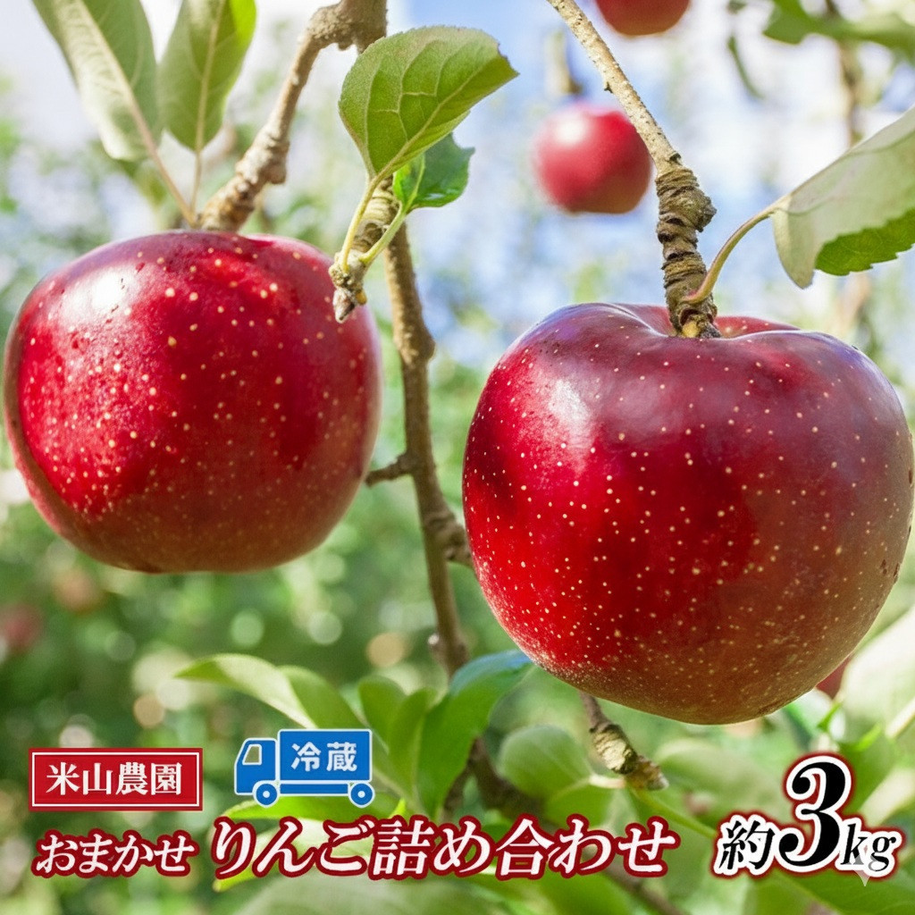 米山農園　米山農園のおまかせりんご（シナノリップまたはサンつがる・シナノドルチェ・紅玉など）約3kg 8月から順次発送 | りんご  詰め合わせ おまかせ ジ長野市産 人気 おすすめ 林檎 フルーツ 果物 食べ比べ  家庭用 送料無料 長野県 長野市 信州 信濃 ふるさと納税