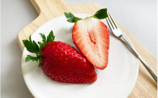 【先行予約】特大まりひめ いちご 朝摘 6個～11個入り×2パック  2026年1月中旬～2026年3月末頃に順次発送予定（お届け日指定不可）/ いちご 苺 まりひめ 和歌山 フルーツ  果物 くだも