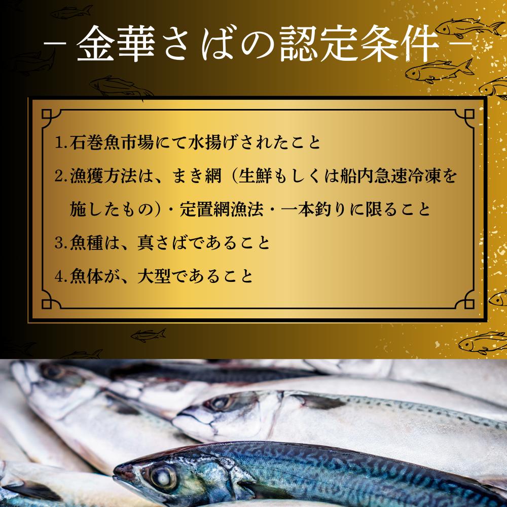 宮城県産 金華しめ鯖  1枚×8パック 石巻市 金華さば 〆さば 〆鯖 小分け 冷凍 おつまみ 宮城県 石巻市 しめさば 宮城県産 小分け しめさば 冷凍 おつまみ しめさば 小分け おつまみ しめさ
