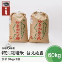 【ふるさと納税】 米 新米 令和6年産 はえぬき 60kg 大石田町産 特別栽培米 玄米 送料無料 ※沖縄・離島への配送不可 ja-hagxb60