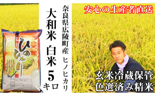 ※公開しない！！【令和6年度産】大和米　奈良県広陵町産ヒノヒカリ　白米5kg// お米 ひのひかり お米 広陵町