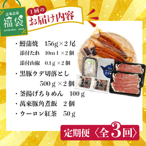 【定期便全３回】志布志市福袋！鰻とおかずいろいろセット(霧島湧水鰻2尾＆釜揚げちりめん＆黒豚ウデ切り落とし＆ウーロン紅茶＆角煮飯) ウナギ 蒲焼 2尾 鰻重 うな丼 黒豚 しらす ちりめんじゃこ バラ