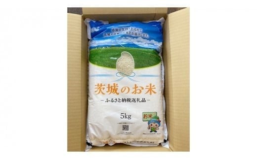 スピード発送!! 【 令和7年産 】 茨城県産 コシヒカリ 10kg ( 5kg × 2袋 ) 米 お米 コメ 白米 こしひかり 茨城県 精米 新生活 応援 新米 スピード配送 [DK002ci]