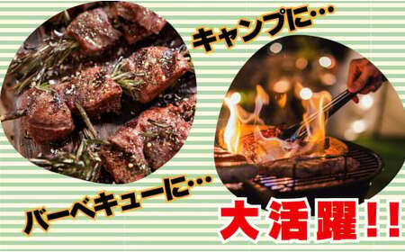 田中屋特製　人気ブランド牛　米沢牛の牛串　10本【冷凍】