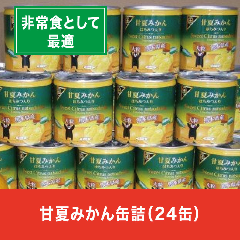 【ふるさと納税】缶詰 セット かんづめ 甘夏 夏みかん みかん 保存食　甘夏みかん缶詰（24缶入）