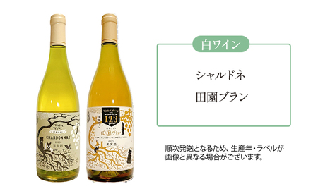 【野生酵母】かみふらの 多田ワイナリー 赤白ワイン 計4本　ワイン 赤ワイン 白ワイン 飲み比べ セット ぶどう 葡萄 ワイナリー 酒 北海道 上富良野町