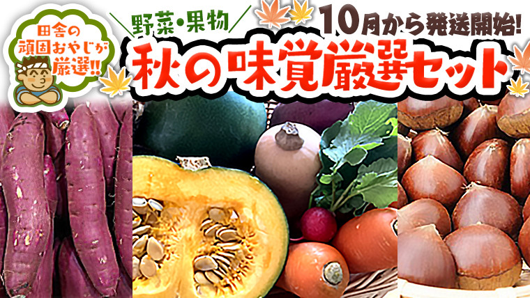 
秋の味覚（野菜・果物）厳選セット【令和6年10月より発送開始】田舎の頑固おやじが厳選！
