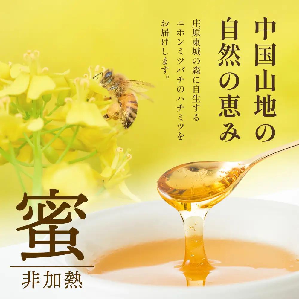二ホンミツバチのハチミツ 250g×3個 | 合計750g はちみつ 蜂蜜 国産 非加熱 にほんみつばち 日本蜜蜂