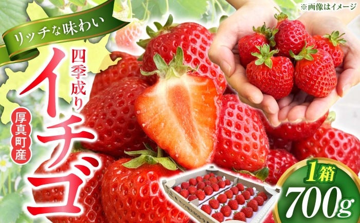 
                  2026年5月以降順次発送！四季成りイチゴ キッツ信大BS8-9 700g 《厚真町》【株式会社キッツ】苺 いちご 夏イチゴ フルーツ 贅沢  製菓 お菓子作り 夏いちご 真っ赤 鮮やか 甘い ギフト 贈り物 手土産 カーボンニュートラル 幻のイチゴ 北海道  [AXCC003-5]
                