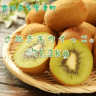 ふるさと納税 多度津町 香川県オリジナルキウイフルーツ「さぬきキウイっこ(R)」1.3kg【A-46】