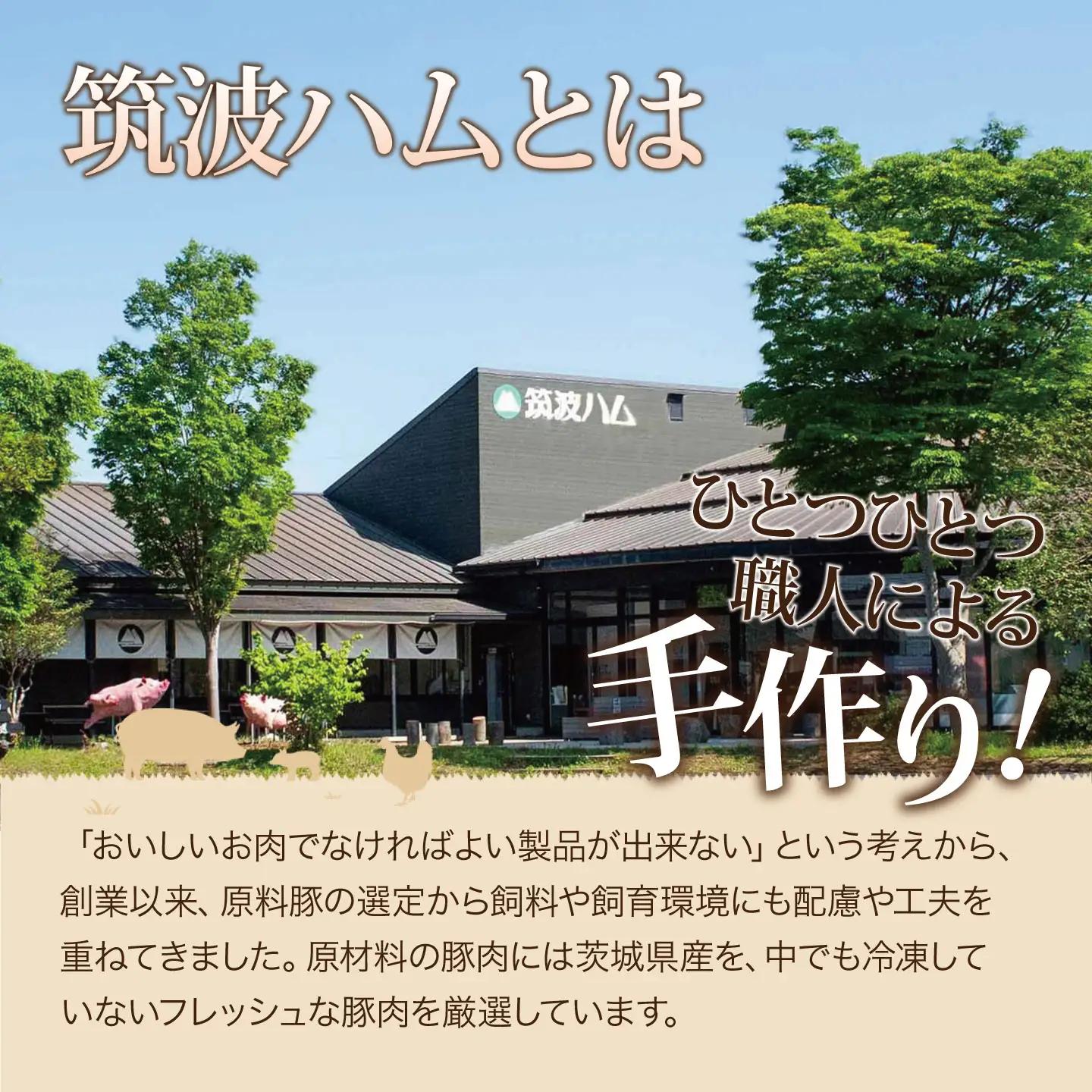 ビアソーセージ 80g×6P ソーセージ