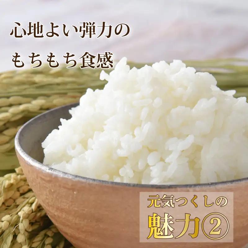令和8年産新米予約 元気つくし 20kg お米 米 TJI