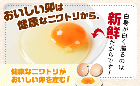 【年内お届け】アスタキサンチン入り赤卵「高崎のめぐみ」50個≪2024年12月20日～31日お届け≫ _AA-6801-HNY_(都城市) 赤卵(50個 L～Mサイズ) 採れたて 新鮮たまご 卵かけご