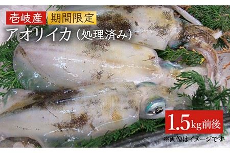 アオリイカ（水イカ）1,500g前後 [JCG019] イカ いか アオリイカ 刺身 刺し身 鮮魚 ゲソ 下足 23000 23000円 のし プレゼント ギフト 冷凍配送