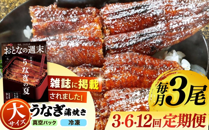 
                  【うなぎや】 【選べる定期便回数】 炭火焼 うなぎの蒲焼き 3尾 【紀州備長炭使用】 鰻 ウナギ 丑の日 多治見市/うなぎや [TFO010]
                