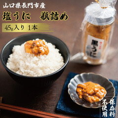 【ふるさと納税】 塩うに 長門産 45g ウニ瓶詰め 塩とウニだけ ウニ 雲丹 紫うに ムラサキウニ 1本 (10114)