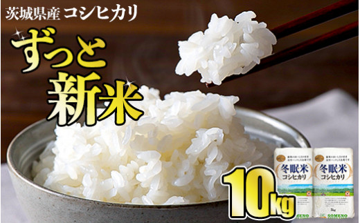 令和8年産 コシヒカリ 冬眠米 10kg（5kg×2袋） | 茨城県産 白米 精米 ごはん お米 冬眠 とうみんまい ブランド米 検査米 単一原料米 国産 守谷市 送料無料