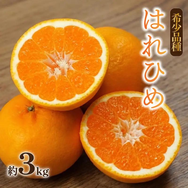 はれひめ 約3kg 【2026年12月下旬頃から順次発送】 | 晴姫 ハレヒメ 柑橘 はれひめ 蜜柑 ミカン mikan フルーツ 果物 みかん くだもの デザート 産地直送 数量限定 国産 送料無料