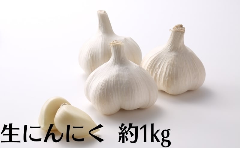 
                  生にんにく 約1kg
                