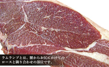 特製ラム ランプ ステーキ 9枚セット（おろしソース付）＜肉の山本＞ お肉 肉 にく ニク 羊肉 らむ ラム肉